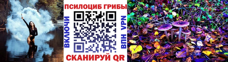 купить закладку  Красноуральск  Галлюциногенные грибы Psilocybe 